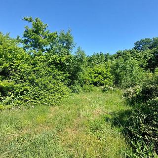 Prodej stavební parcely, 531m²