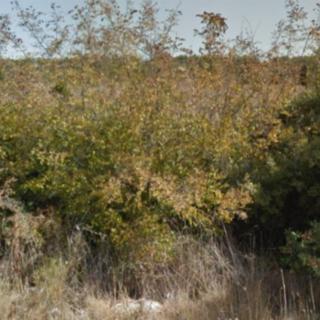 Prodej stavební parcely, 1800m&sup2;