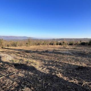 Prodej stavební parcely, 1005m²