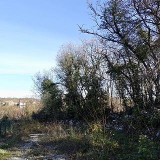 Prodej stavební parcely, 2227m&sup2;