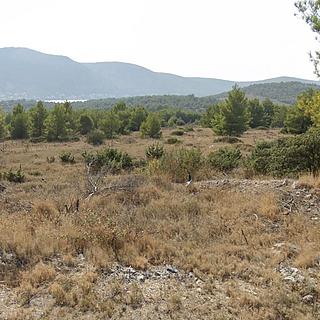 Prodej stavební parcely, 2130m&sup2;