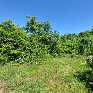 Prodej stavební parcely, 677m²