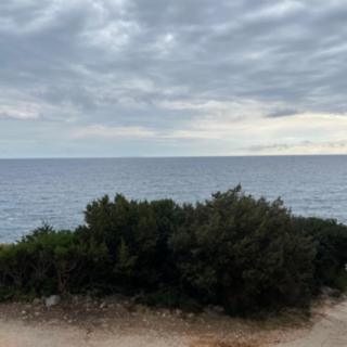 Prodej stavební parcely, 742m&sup2;