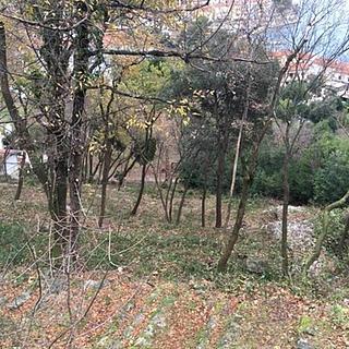 Prodej stavební parcely, 1768m&sup2;