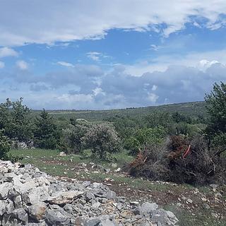 Prodej stavební parcely, 3158m&sup2;