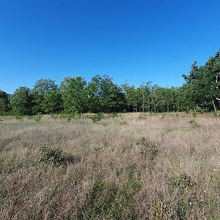 Prodej stavební parcely, 12120m&sup2;