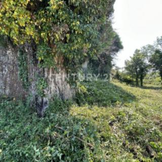 Prodej rodinného domu, 304m²