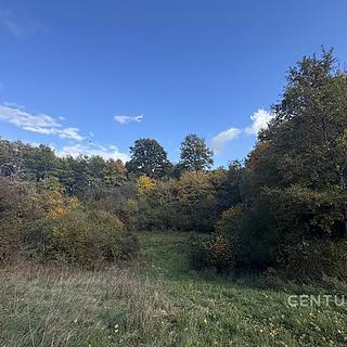 Prodej stavební parcely, 2000m&sup2;