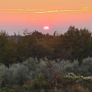 Prodej stavební parcely, 4498m&sup2;