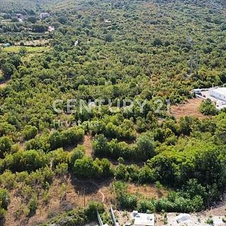 Prodej ostatních pozemků, 25000m&sup2;