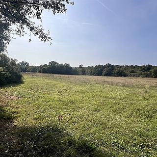 Prodej stavební parcely, 10054m&sup2;