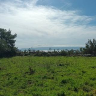 Prodej stavební parcely, 1500m&sup2;