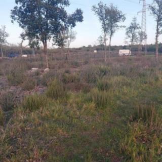 Prodej stavební parcely, 489m²