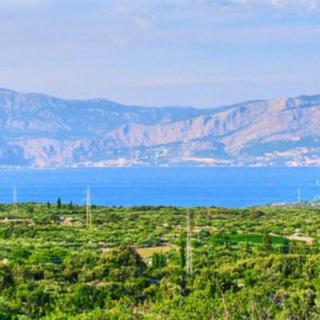 Prodej stavební parcely, 12501m&sup2;