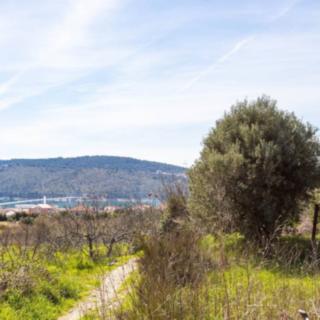 Prodej stavební parcely, 4859m&sup2;