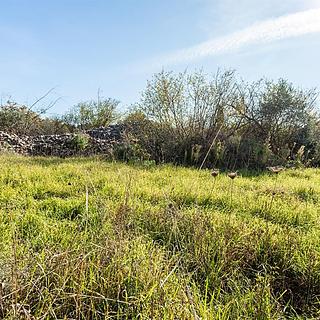 Prodej stavební parcely, 1731m²