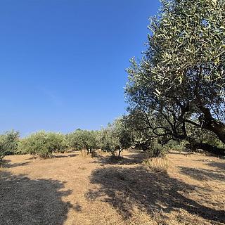 Prodej stavební parcely, 1917m&sup2;