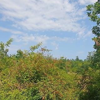 Prodej stavební parcely, 26406m&sup2;