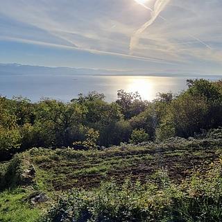 Prodej stavební parcely, 17500m&sup2;