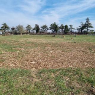 Prodej stavební parcely, 890m²