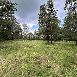 Prodej ostatních pozemků, 9646m&sup2;