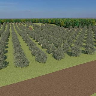 Prodej stavební parcely, 12200m&sup2;