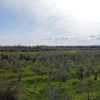 Prodej stavební parcely, 14690m²