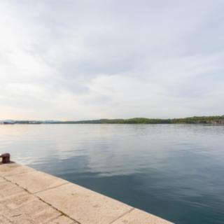 Prodej stavební parcely, 4990m²