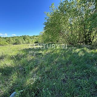 Prodej komerčního pozemku, 705m&sup2;