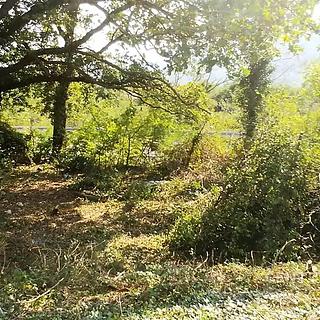 Prodej stavební parcely, 2930m²