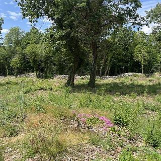 Prodej stavební parcely, 1350m&sup2;