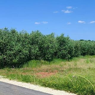 Prodej stavební parcely, 856m&sup2;