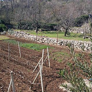 Prodej stavební parcely, 1151m&sup2;