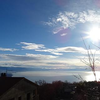 Prodej stavební parcely, 1230m²