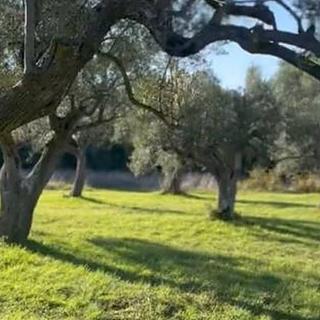 Prodej stavební parcely, 3600m&sup2;