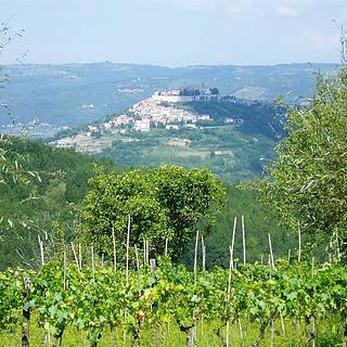 Prodej vily, 320m&sup2;