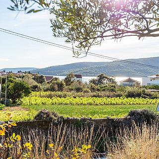 Prodej stavební parcely, 1592m²