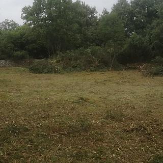 Prodej stavební parcely, 11595m&sup2;