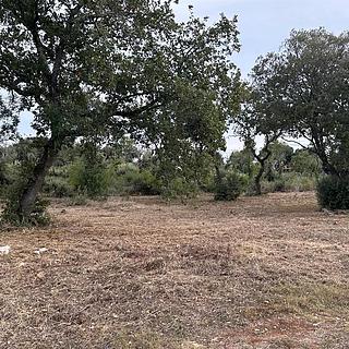 Prodej stavební parcely, 1846m&sup2;