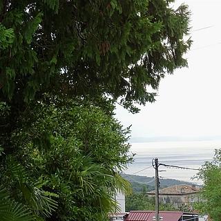 Prodej stavební parcely, 15000m&sup2;