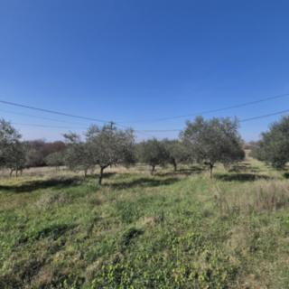 Prodej stavební parcely, 2585m²