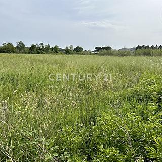 Prodej ostatních pozemků, 6830m&sup2;