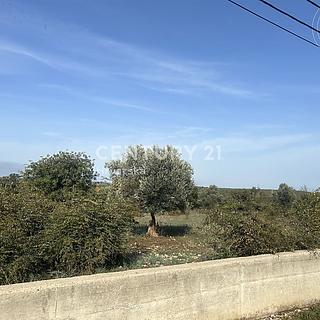 Prodej komerčního pozemku, 4289m&sup2;