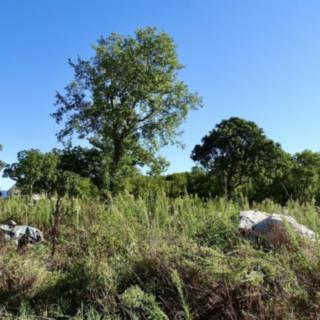 Prodej stavební parcely, 1698m&sup2;