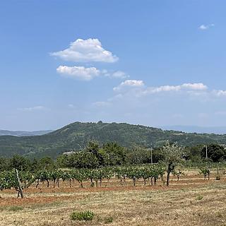 Prodej stavební parcely, 1046m&sup2;