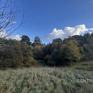 Prodej stavební parcely, 5999m&sup2;