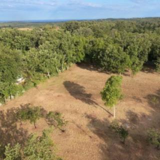 Prodej stavební parcely, 3623m&sup2;