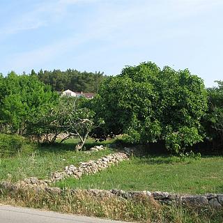 Prodej stavební parcely, 635m²