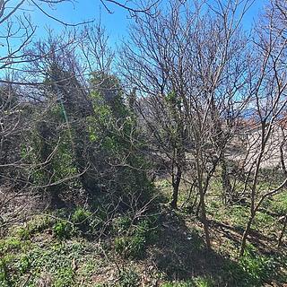 Prodej stavební parcely, 1220m&sup2;