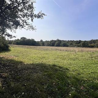 Prodej stavební parcely, 498m²